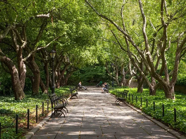 1399 Park Avenue image 16 of 16