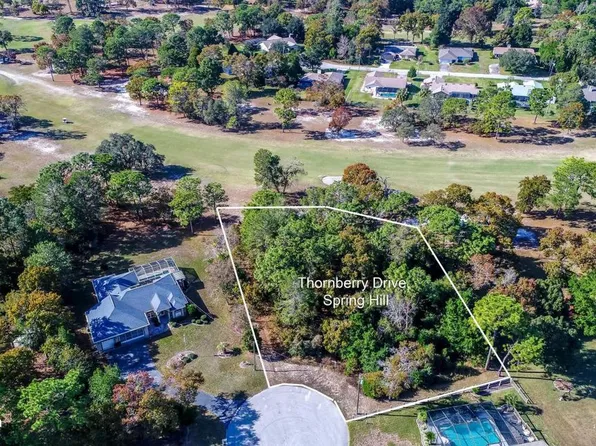 10315 Thornberry Dr, Spring Hill, FL 34608