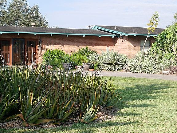 Front yard