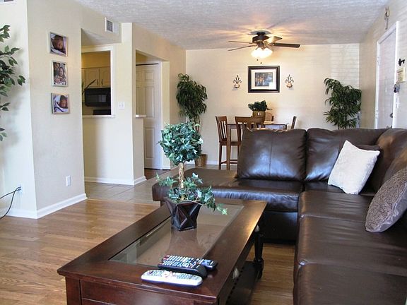 Open Living & Dining Areas