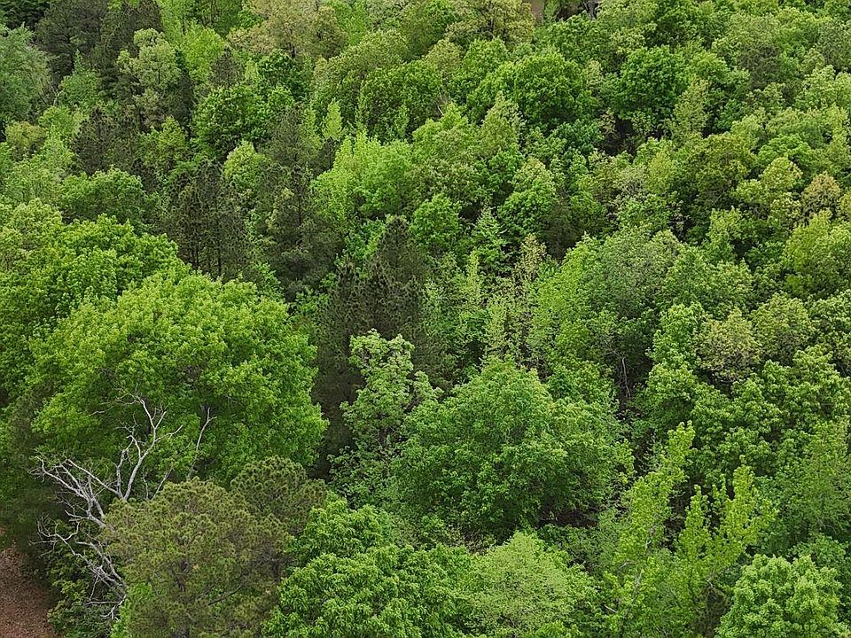 1st image of Polk Rd #117