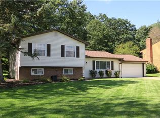 10038 Belmeadow Dr, Twinsburg, OH 44087