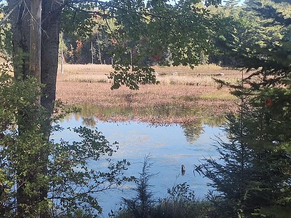 4th image of 215 Woodman Mill Road