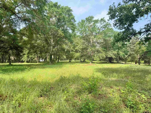 Bailey Ln, Jacksonville, TX 75766