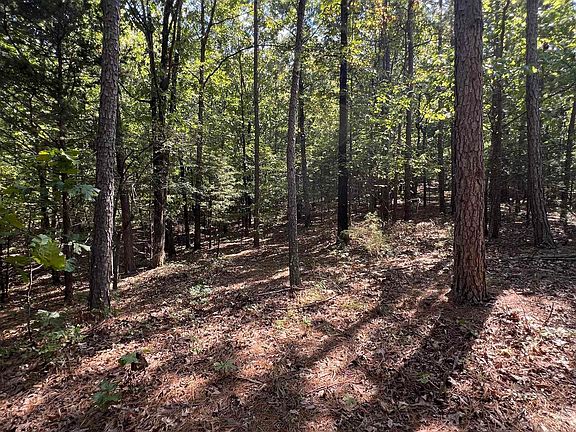 4th image of Polk Rd #61