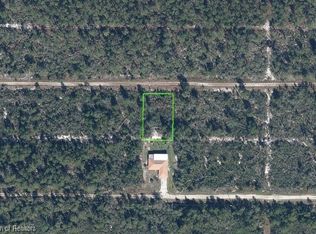 521 Scaup Ave, Sebring, FL 33870