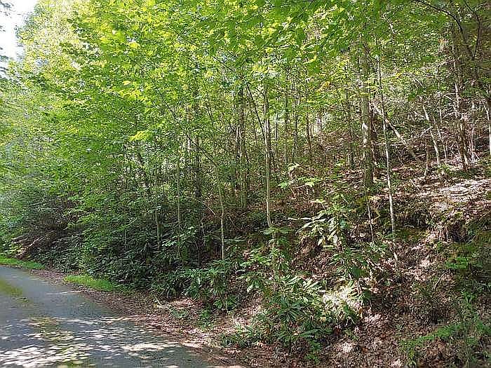 2nd image of Blue Springs Way