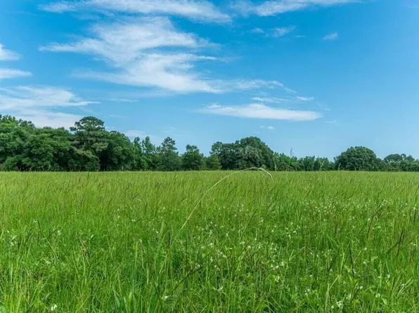 Double Bridge Rd, Laurel Hill, FL 32567