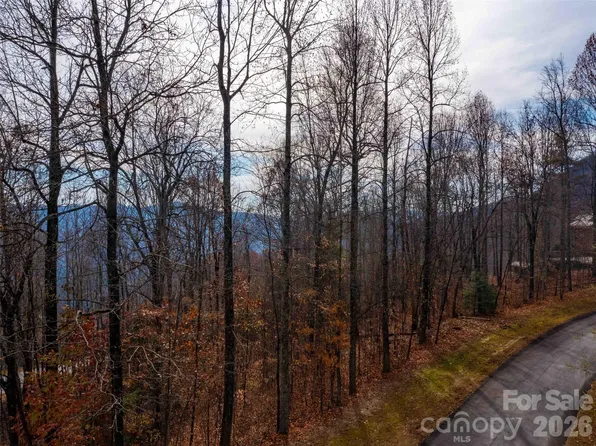 253 Haddington Dr E, Mill Spring, NC 28756