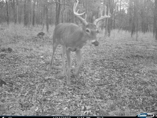 0 Off County Rd #4502, Wolfe City, TX 75496