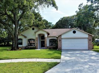 1131 Wedge Way, Spring Hill, FL 34608