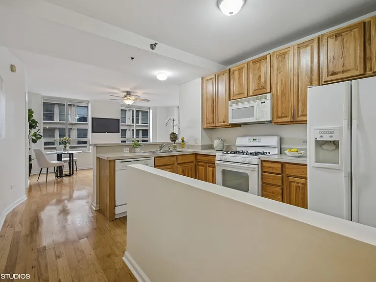 1111 S Wabash Ave #806 — Photo 4