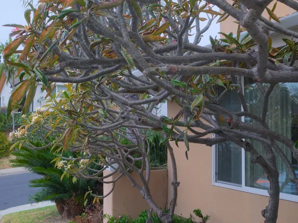 3919 Southview Dr, San Diego, CA 92117