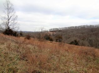 280 Jacks Hollow Rd, Walnut Shade, MO 65771