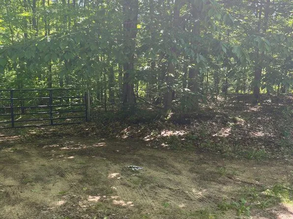 PARCEL N 45th Rd #B, Manton, MI 49663