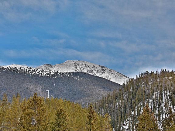 5th image of 115 Parry Peak Way #110