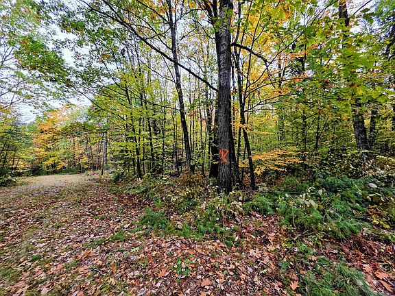 4th image of Blue Trail