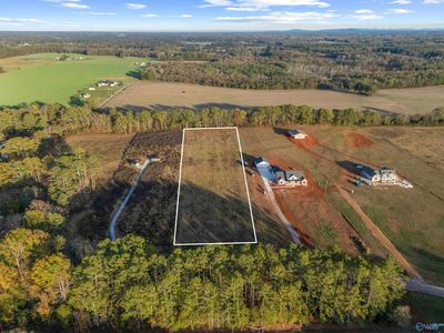 New Garden Cemetery Rd, Elkmont, AL, 35620