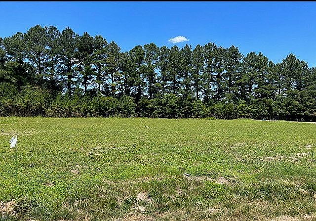 View of trees on back of lot