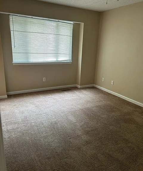 6131 Old Plank Rd — Photo 8