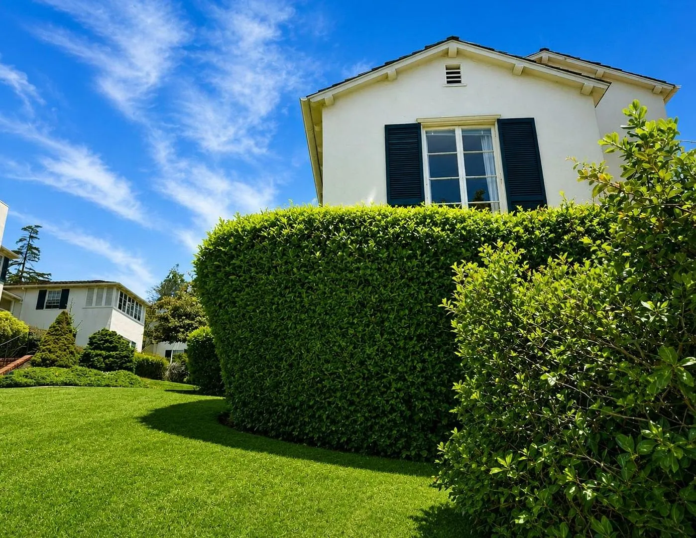 More Space. More Flexibility. Classic Berkeley Living. — Photo 4