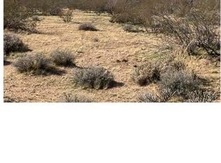 E Red Barrel Dr, Yucca, AZ 86438