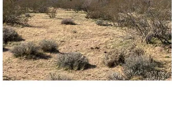 E Red Barrel Dr, Yucca, AZ 86438