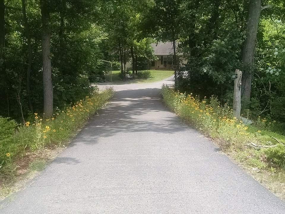 Driveway from road