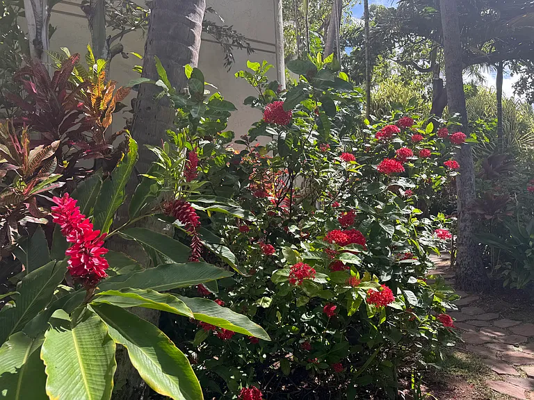 300 Wai Nani Way #2414 — Photo 38