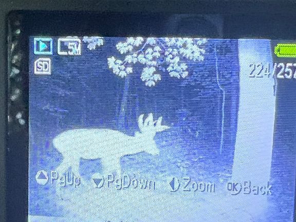 72nd image of this home