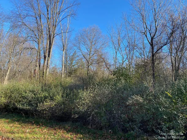 9010 Timber Ln, Whitmore Lake, MI 48189