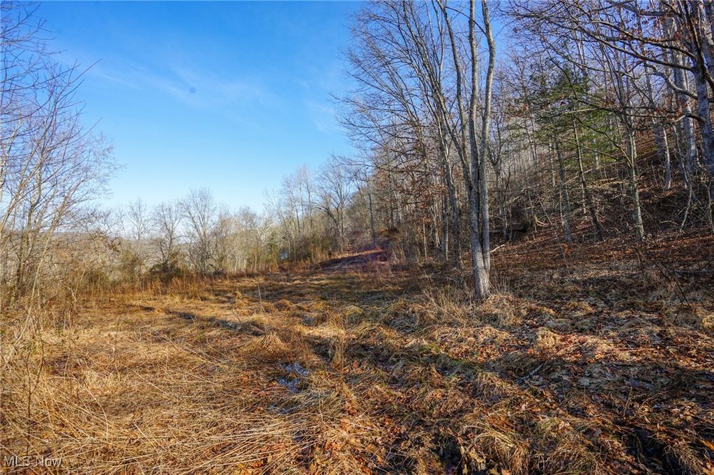 Real estate listing image