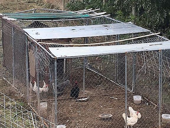 Chicken coop 