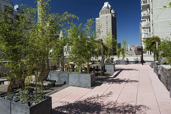 Sold by Stribling | media 6