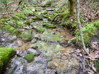 12AC Coyote Trl, Spencer, TN, 38585