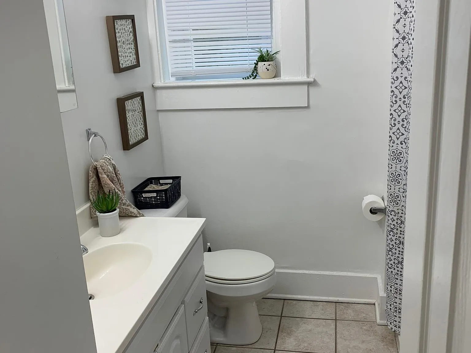 1009 Paradrome St — Photo 4