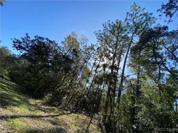 2550 S Woodbine Ave, Homosassa, FL 34448