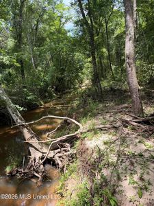 River Rd, Liberty, MS, 39645