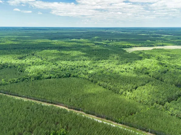 Tract E Ten Acre Rd., Andrews, SC 29510