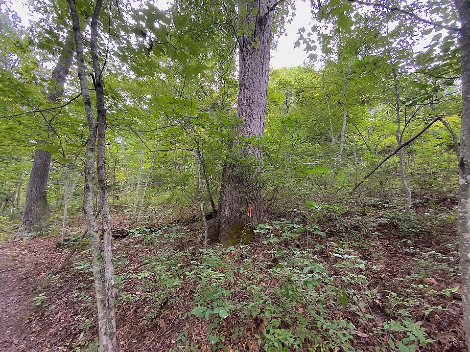 0 De Loss Creek Rd, Kitts Hill, OH 45645 Zillow