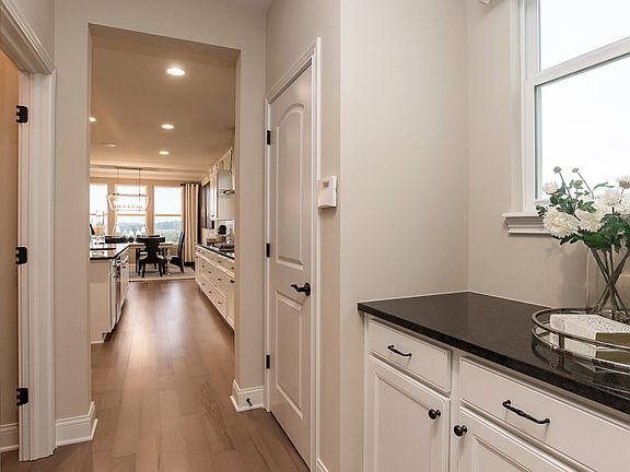 Model Representation