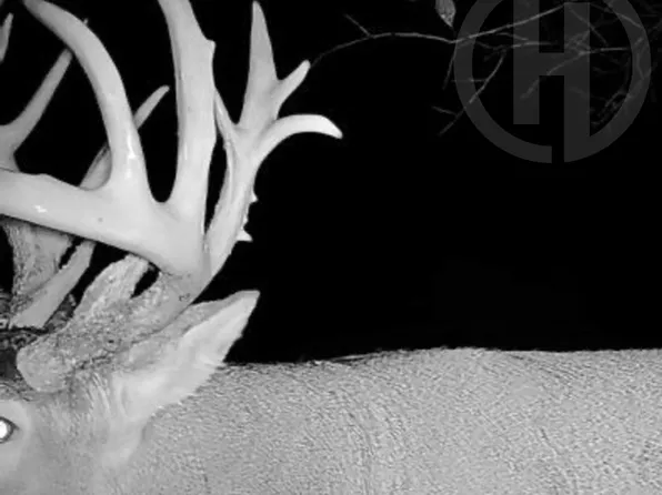 952 Douglas Rd, Williamsburg, KS 66095