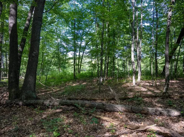 Lot 15 West Emerson Road #15, Mauston, WI 53948
