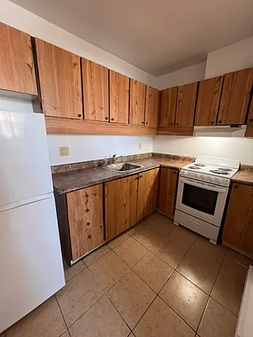 263 Maclaren St Photo 1