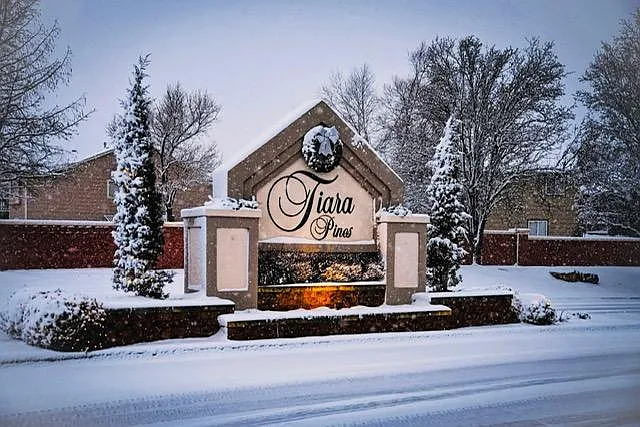 1755 E Tiara Pines St — Photo 13