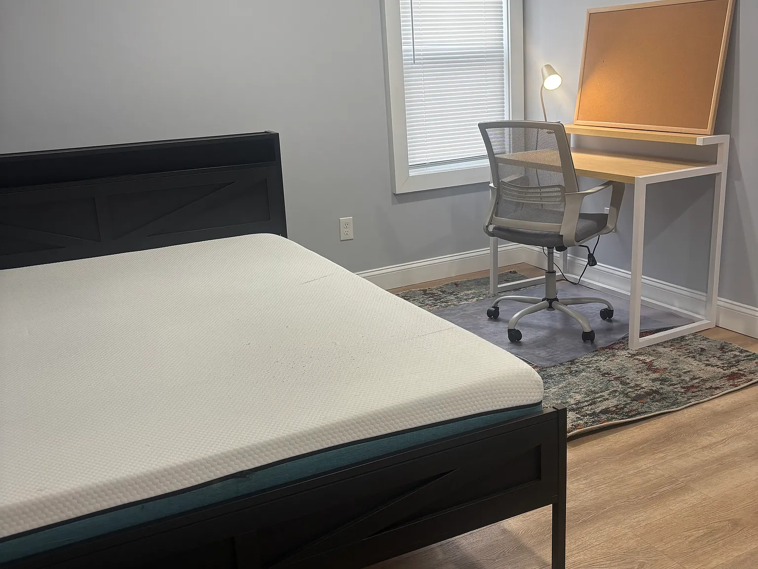 1 bed, $950 — Photo 3