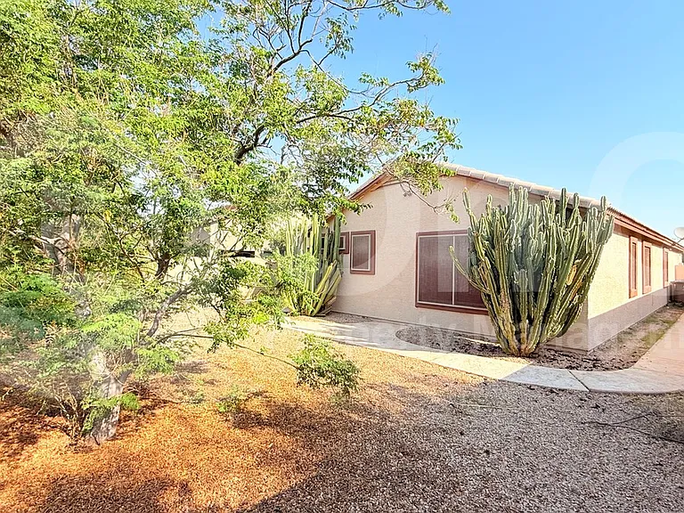 21317 E Via Del Palo — Photo 25