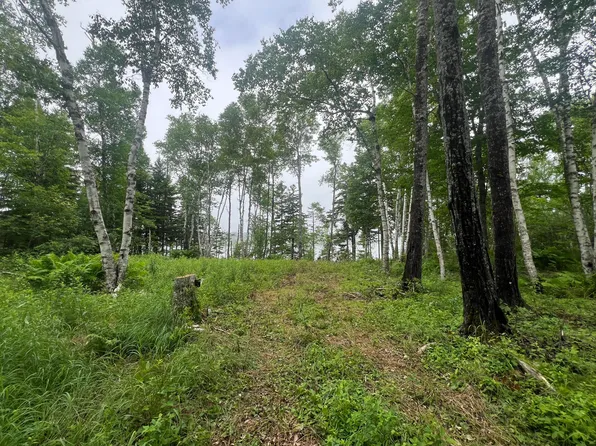 Lot 1 Puffins Lane, Machiasport, ME 04655