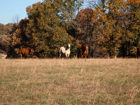 7252 Northwest Hwy, Fairview, TN 37062