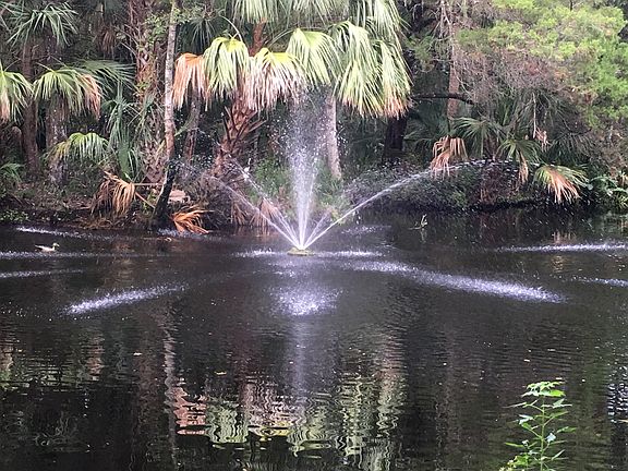 Private lake w/ fountain
